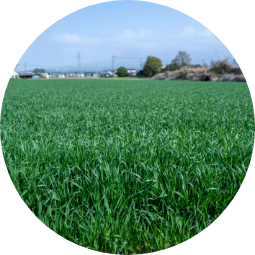 ホテル須藤牧場