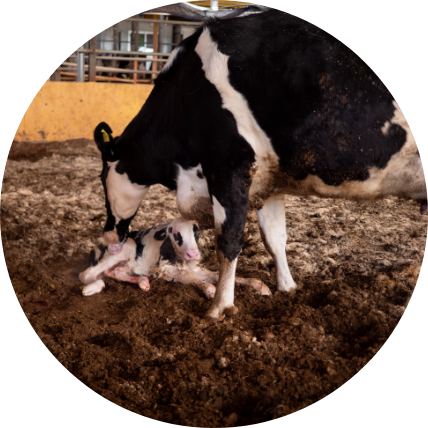 ホテル須藤牧場