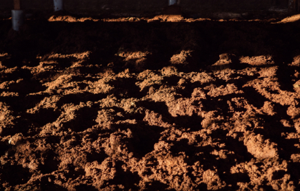 特殊な乳酸菌含有の敷料