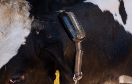 最先端AIとつながるIOT