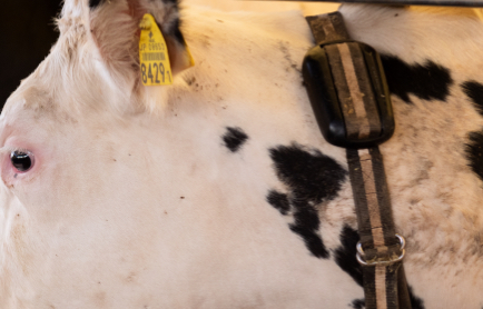 最先端AIとつながるIOT