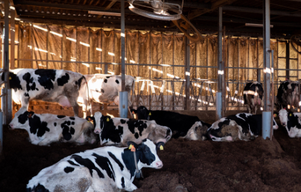 心地の良い音楽