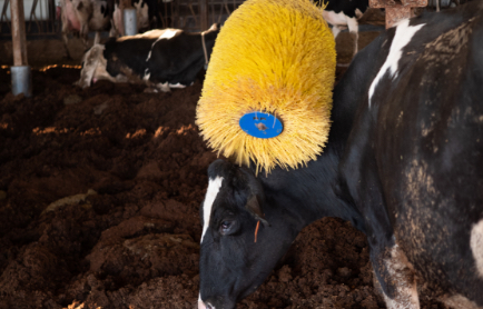 自由にご利用いただけるマッサージ機