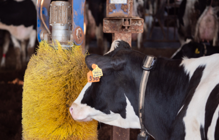 自由にご利用いただけるマッサージ機