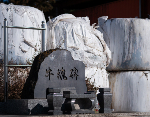 私たちはSDGsを支援しています