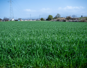 私たちはSDGsを支援しています